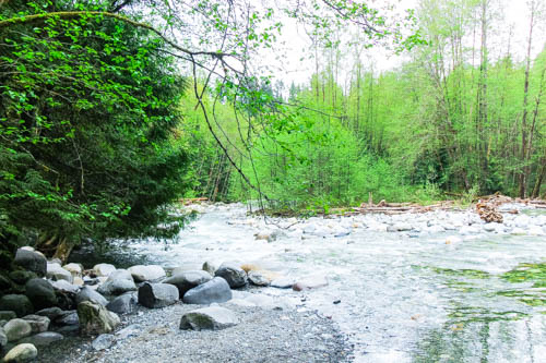 Rushin' River down at Lynn Canyon