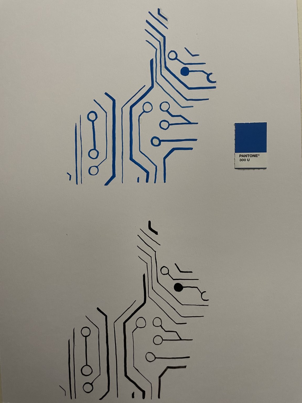 Logo Project Rationale – Narci