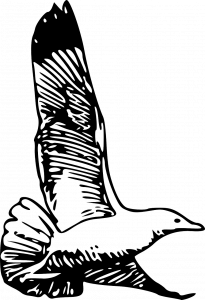 Black-and-white graphic of a seagull