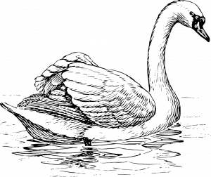 Black-and-white graphic of a swan